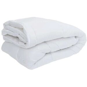 VidaXL Protège-matelas - Blanc, 200x220 cm - Protège-matelas - Publicité VidaXL Protège-matelas - Blanc, 200x220 cm - Protège-matelas - Publicité