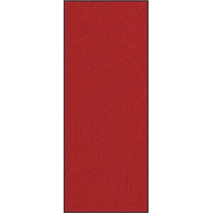 vidaXL Red Washable Doormat - 120x300 cm - Indoor/Outdoor Rug vidaXL Red Washable Doormat - 120x300 cm - Indoor/Outdoor Rug