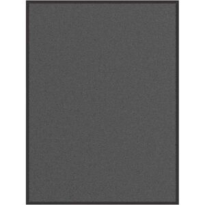 vidaXL Doormat 80x120 cm Anthracite - Doormat vidaXL Doormat 80x120 cm Anthracite - Doormat