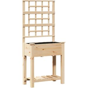 vidaXL Tuinplantsoen met spaler & plank - Grote houten plantenbak vidaXL Tuinplantsoen met spaler & plank - Grote houten plantenbak