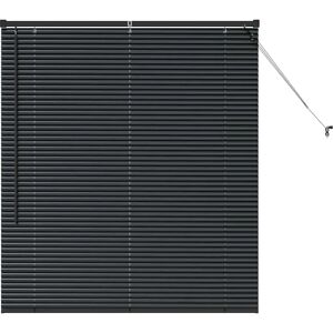 vidaXL Black Window Blind with Curtains - Window Blind vidaXL Black Window Blind with Curtains - Window Blind