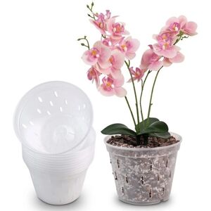 Linghhang - Orchid Pot 5in Mesh - Transparent - Plant Pot Linghhang - Orchid Pot 5in Mesh - Transparent - Plant Pot