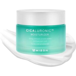 Mizon Cicaluronic Moisturizer - Sensitive Skin Hydrating Cream Mizon Cicaluronic Moisturizer - Sensitive Skin Hydrating Cream