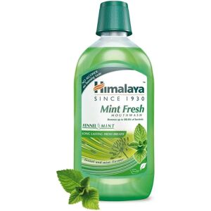 Himalaya Herbals Mint Mouthwash - Mouthwash Himalaya Herbals Mint Mouthwash - Mouthwash
