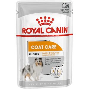 Royal Canin Coat Care Adult Wet Dog Food 85g - Dog Food Royal Canin Coat Care Adult Wet Dog Food 85g - Dog Food