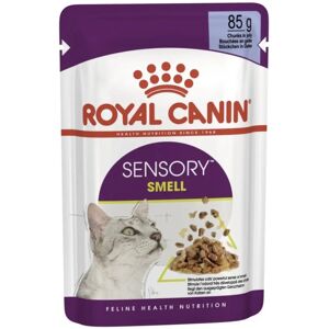 Royal Canin Sensory Smell in Jelly Adult Wet Cat Food - 12 x 85g Royal Canin Sensory Smell in Jelly Adult Wet Cat Food - 12 x 85g