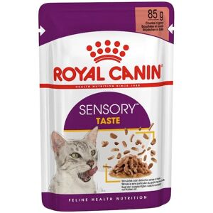Royal Canin Sensory Maku kastikkeessa - Märkäkissanruoka Royal Canin Sensory Maku kastikkeessa - Märkäkissanruoka