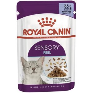 Royal Canin FHN Sensory Feel Cat Food Pouch - Wet, Adult, Jelly, 12x85g Royal Canin FHN Sensory Feel Cat Food Pouch - Wet, Adult, Jelly, 12x85g
