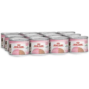 Royal Canin Mother & Babycat Ultra Soft Mousse - Saver Pack: 24 x 195g Royal Canin Mother & Babycat Ultra Soft Mousse - Saver Pack: 24 x 195g