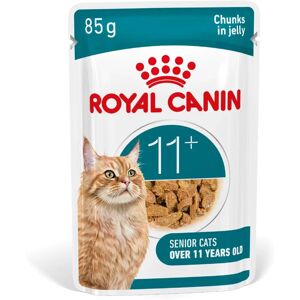 Royal Canin Ageing 11+ Jelly - Support for Senior Cats Royal Canin Ageing 11+ Jelly - Support for Senior Cats