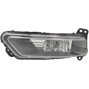 ZKW 1067.205.8000 Mistlampen ZKW 1067.205.8000 Mistlampen