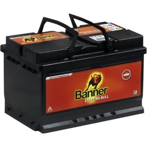 Batterie voiture Banner 59533 - 12V, 95Ah, 740A, B13 - Publicité Batterie voiture Banner 59533 - 12V, 95Ah, 740A, B13 - Publicité