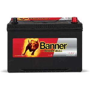 Banner Power Bull 12V 95Ah (P9504) - Publicité Banner Power Bull 12V 95Ah (P9504) - Publicité