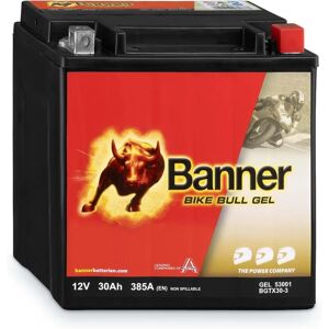 Batterie Gel Moto Banner - GTX30-3 12V 30Ah - Batterie Moto - Publicité Batterie Gel Moto Banner - GTX30-3 12V 30Ah - Batterie Moto - Publicité