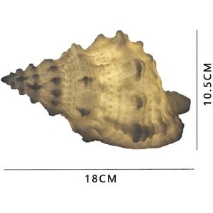 Sztxj Nautical Conch Shell Night Light - Battery Operated Sztxj Nautical Conch Shell Night Light - Battery Operated