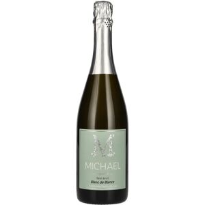 MICHAEL Modèle - Vin mousseux élégant - Publicité MICHAEL Modèle - Vin mousseux élégant - Publicité