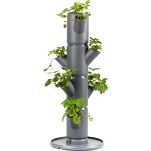 Gusta Garden, Pot de fleurs, Sissi Strawberry, Extérieur, Anthracite - Publicité Gusta Garden, Pot de fleurs, Sissi Strawberry, Extérieur, Anthracite - Publicité