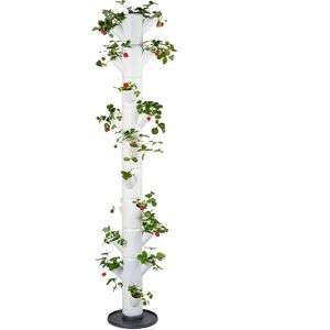 Gusta Garden SISSI STRAWBERRY INFINITY Pot de jardin vertical - Intérieur/extérieur, 10 niveaux, Blanc - Publicité Gusta Garden SISSI STRAWBERRY INFINITY Pot de jardin vertical - Intérieur/extérieur, 10 niveaux, Blanc - Publicité