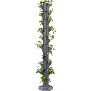 Gusta Garden GUSTA GARDEN SISSI STRAWBERRY INFINITY Jardinière verticale - Intérieur/extérieur - Publicité Gusta Garden GUSTA GARDEN SISSI STRAWBERRY INFINITY Jardinière verticale - Intérieur/extérieur - Publicité