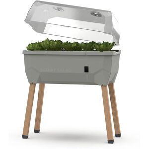 Gusta Garden Sammy Salad Potager - Intérieur/extérieur, Gris clair, Translucide, Transparent - Jardin de salade - Publicité Gusta Garden Sammy Salad Potager - Intérieur/extérieur, Gris clair, Translucide, Transparent - Jardin de salade - Publicité