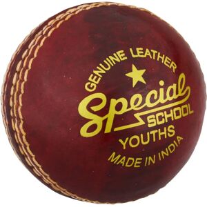 Readers Special Schools Cricket Ball - Youth/Red - Cricket Ball Readers Special Schools Cricket Ball - Youth/Red - Cricket Ball
