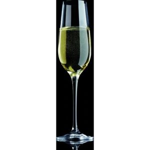 Maxwell & Williams Vino Set of 6 180ml Flute Glasses - Champagne Flutes Maxwell & Williams Vino Set of 6 180ml Flute Glasses - Champagne Flutes