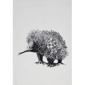 Maxwell & Williams Marini Ferlazzo Echidna Tea Towel - White Maxwell & Williams Marini Ferlazzo Echidna Tea Towel - White