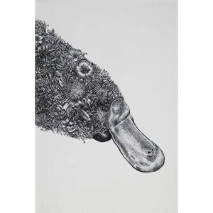 Maxwell & Williams Marini Ferlazzo - Wildlife Illustration - 50x70cm - White Maxwell & Williams Marini Ferlazzo - Wildlife Illustration - 50x70cm - White
