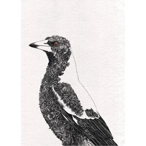 Maxwell & Williams Marini Ferlazzo Australian Magpie Tea Towel - 50x70cm Maxwell & Williams Marini Ferlazzo Australian Magpie Tea Towel - 50x70cm