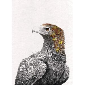 Maxwell & Williams Marini Ferlazzo Wedge-tail Eagle Tea Towel - Australian Bird Design Maxwell & Williams Marini Ferlazzo Wedge-tail Eagle Tea Towel - Australian Bird Design