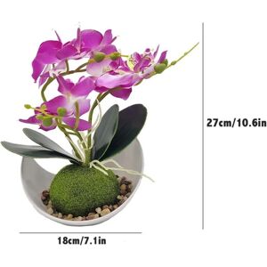 Generic - Phalaenopsis Orchid - Maceta blanca - Flor artificial Generic - Phalaenopsis Orchid - Maceta blanca - Flor artificial