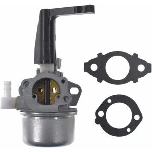 GOTRAYS - Briggs 110402 - 110402/110412 compatibles GOTRAYS - Briggs 110402 - 110402/110412 compatibles