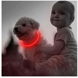 GOTRAYS - LED USB - Rechargeable - Waterproof - Dog Collar GOTRAYS - LED USB - Rechargeable - Waterproof - Dog Collar