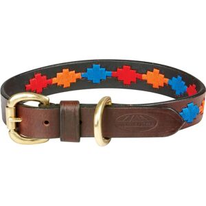 Collier en Cuir WeatherBeeta Polo pour Chien - Leather Dog Collar - Publicité Collier en Cuir WeatherBeeta Polo pour Chien - Leather Dog Collar - Publicité