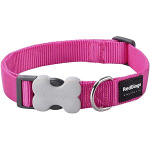 Red Dingo Bucklebone Dog Collar - Pink - Durable & Iconic Red Dingo Bucklebone Dog Collar - Pink - Durable & Iconic