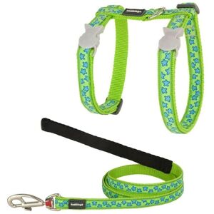 Red Dingo Turquoise Star Cat Harness Red Dingo Turquoise Star Cat Harness