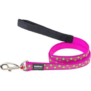Laisse pour chien Red Dingo étoiles roses et vert lime - Laisse pour chiens - Publicité Laisse pour chien Red Dingo étoiles roses et vert lime - Laisse pour chiens - Publicité