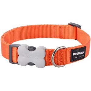 Collier pour chien Red Dingo Bucklebone - Orange - 20mm - Publicité Collier pour chien Red Dingo Bucklebone - Orange - 20mm - Publicité