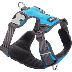 Red Dingo Size M Turquoise Dog Harness Red Dingo Size M Turquoise Dog Harness
