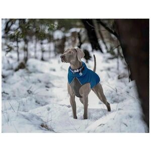 Red Dingo Turquoise Dog Coat - 35cm - Dog Coat Red Dingo Turquoise Dog Coat - 35cm - Dog Coat