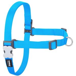 Red Dingo Dog Harness - Adjustable, Turquoise, S - Dog Harness Red Dingo Dog Harness - Adjustable, Turquoise, S - Dog Harness