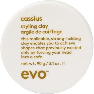 EVO Style Cassius Haarklei - Haarstylingklei voor sterke hold & natuurlijke uitstraling EVO Style Cassius Haarklei - Haarstylingklei voor sterke hold & natuurlijke uitstraling