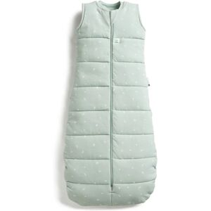 ErgoPouch Organická zimní Jersey spací vak - 2,5 Tog - 8-24 měsíců ErgoPouch Organická zimní Jersey spací vak - 2,5 Tog - 8-24 měsíců