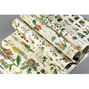 Pepin Press PE90974 Cadeaupapier - Inpakpapier Pepin Press PE90974 Cadeaupapier - Inpakpapier
