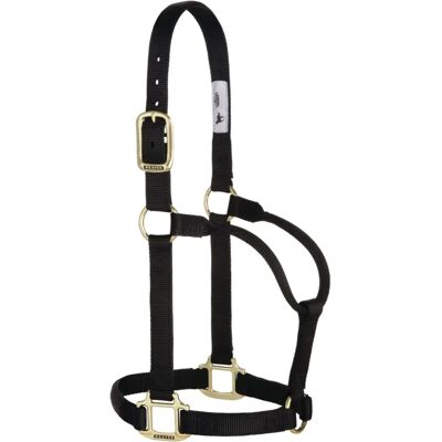 Halter Original Weaver Leather - Harnais pour Cheval Halter Original Weaver Leather - Harnais pour Cheval