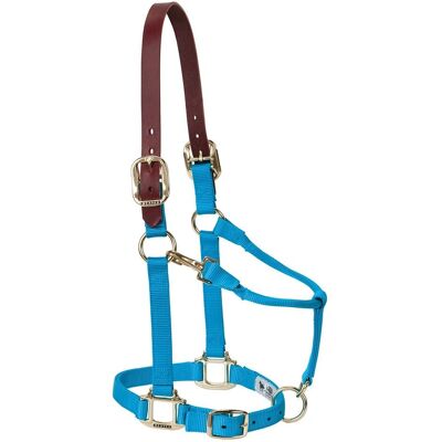 Weaver Hurricane Blue Small Horse Halter Weaver Hurricane Blue Small Horse Halter