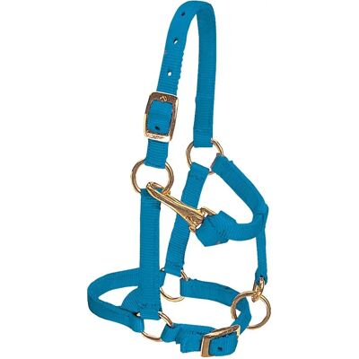 Weaver Leather - Miniature Horse - Nylon - Horse halter Weaver Leather - Miniature Horse - Nylon - Horse halter