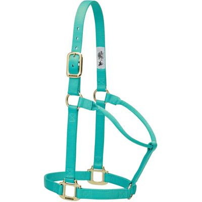 Weaver Leather Mint Nylon Horse Halter - Horse Halter Weaver Leather Mint Nylon Horse Halter - Horse Halter