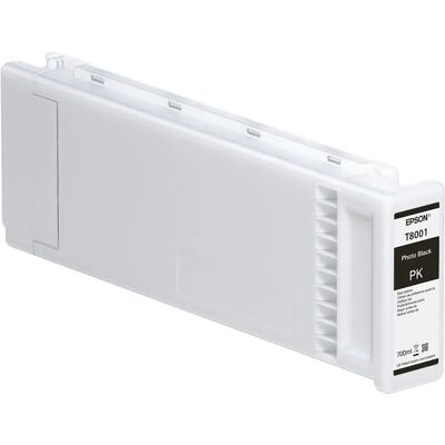 Epson C13T800100 Epson C13T800100