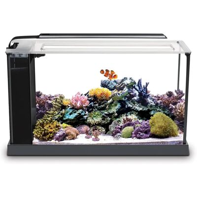 Zestaw akwarium morskiego Fluval SEA Evo 19L czarny Zestaw akwarium morskiego Fluval SEA Evo 19L czarny